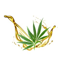 Cannabis Seed Oil -  Masque visage