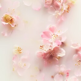 The Ritual of Sakura - Brume Corps et Cheveux