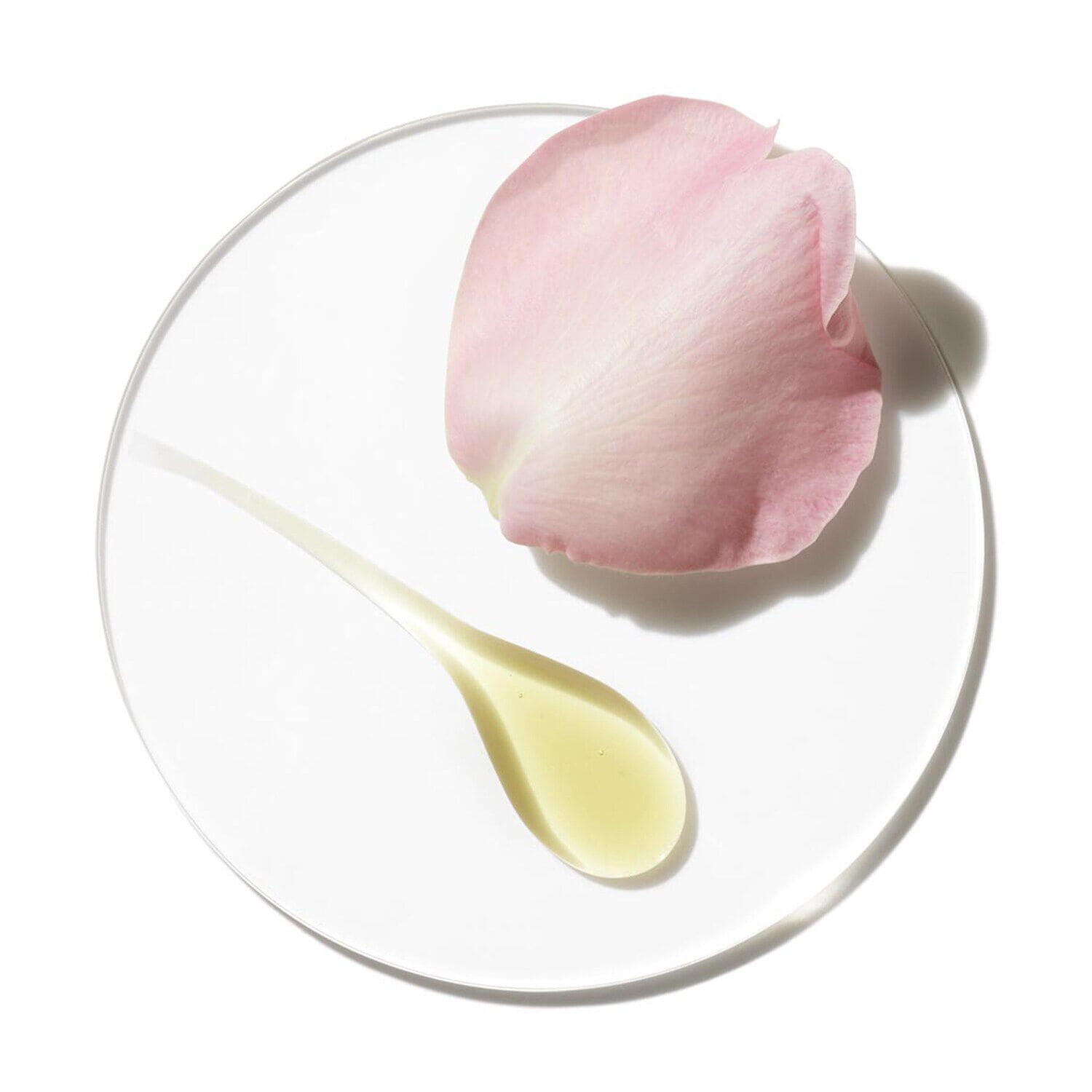 Aromatic elixir sephora clearance