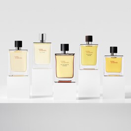 Hermès Terre d'Hermès - Eau de Parfum Intense Rechargeable