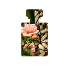 Hosanna - Sérum H2O Repulpant Intense