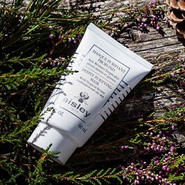 Masque Purifiant Profond aux Résines Tropicales