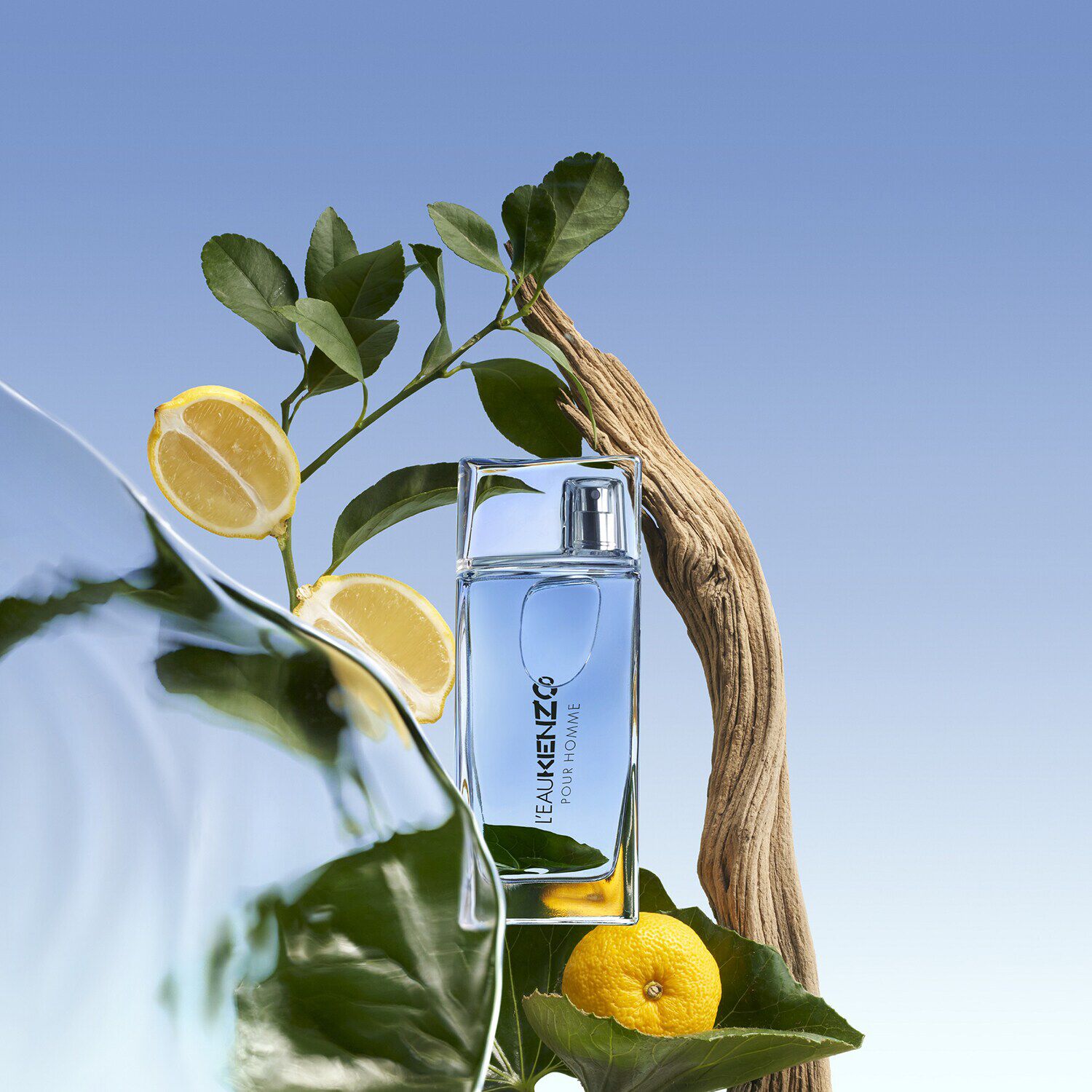 L eau Kenzo Pour Homme Eau De Toilette de KENZO SEPHORA