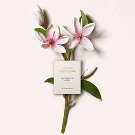 Atelier des Fleurs Magnolia Alba - Eau de Parfum
