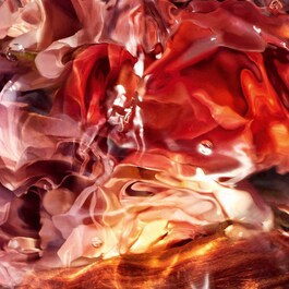 Aqua Allegoria Forte - Rosa Palissandro - Eau de Parfum
