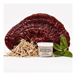 Adaptogen Deep Moisture Cream - Crème apaisante et hydratante