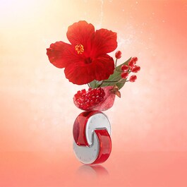 Omnia Coral - Eau de Toilette