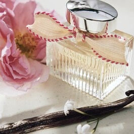 Chloé L'Eau de Parfum Lumineuse - Eau de Parfum