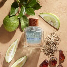 Canyon Escape For Him - Eau de Toilette