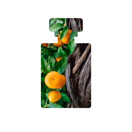 Vanilla Pod - Crème de Jour Hydratante à la Gousse de Vanille