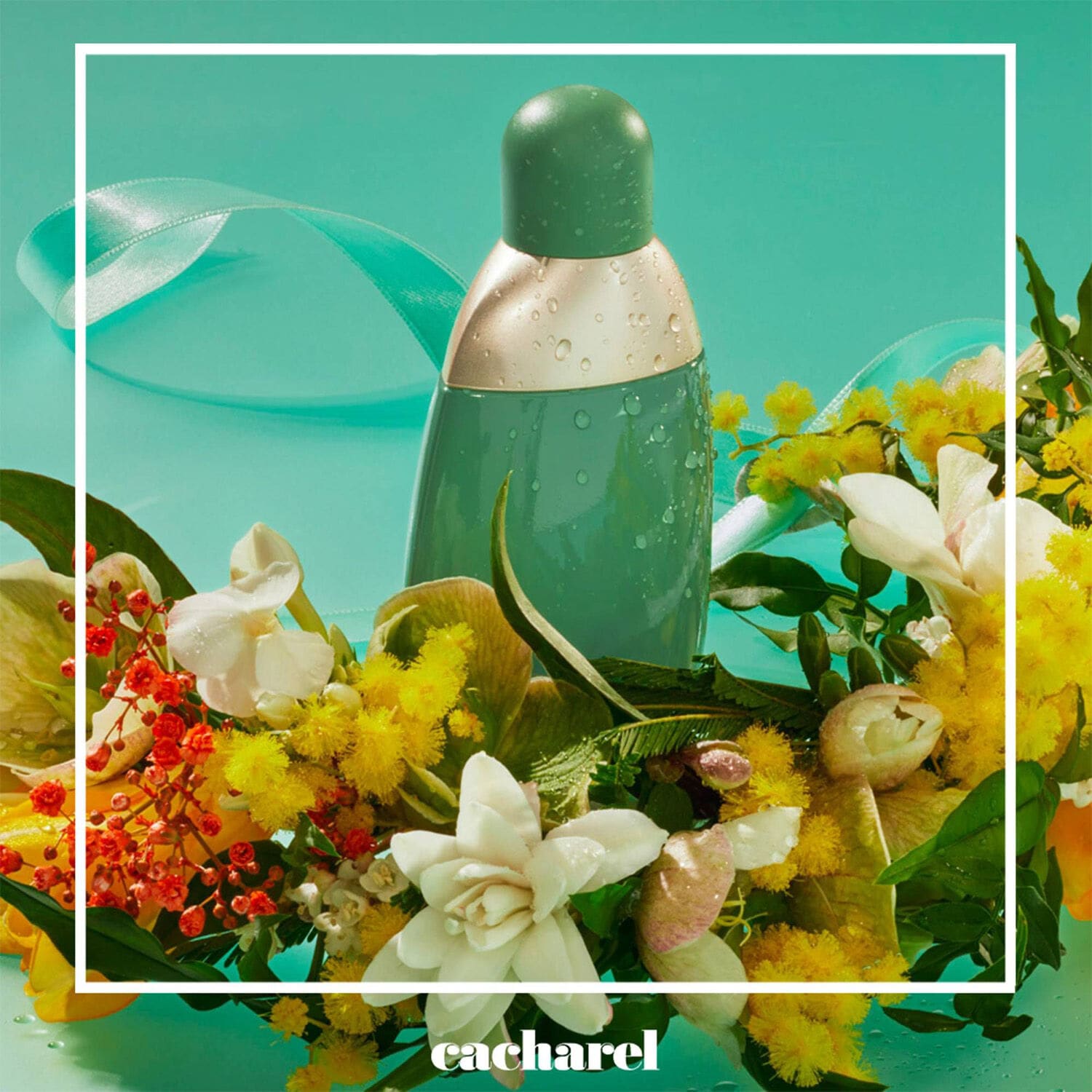 Cacharel eden eau de parfum outlet