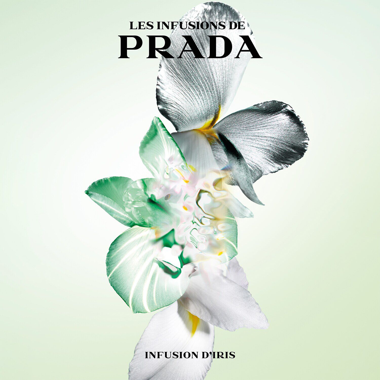 Iris prada sephora clearance