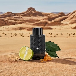 Explorer Extreme - Parfum Boisé Ambré Cuiré