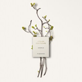 Atelier des Fleurs Cedrus - Eau de Parfum