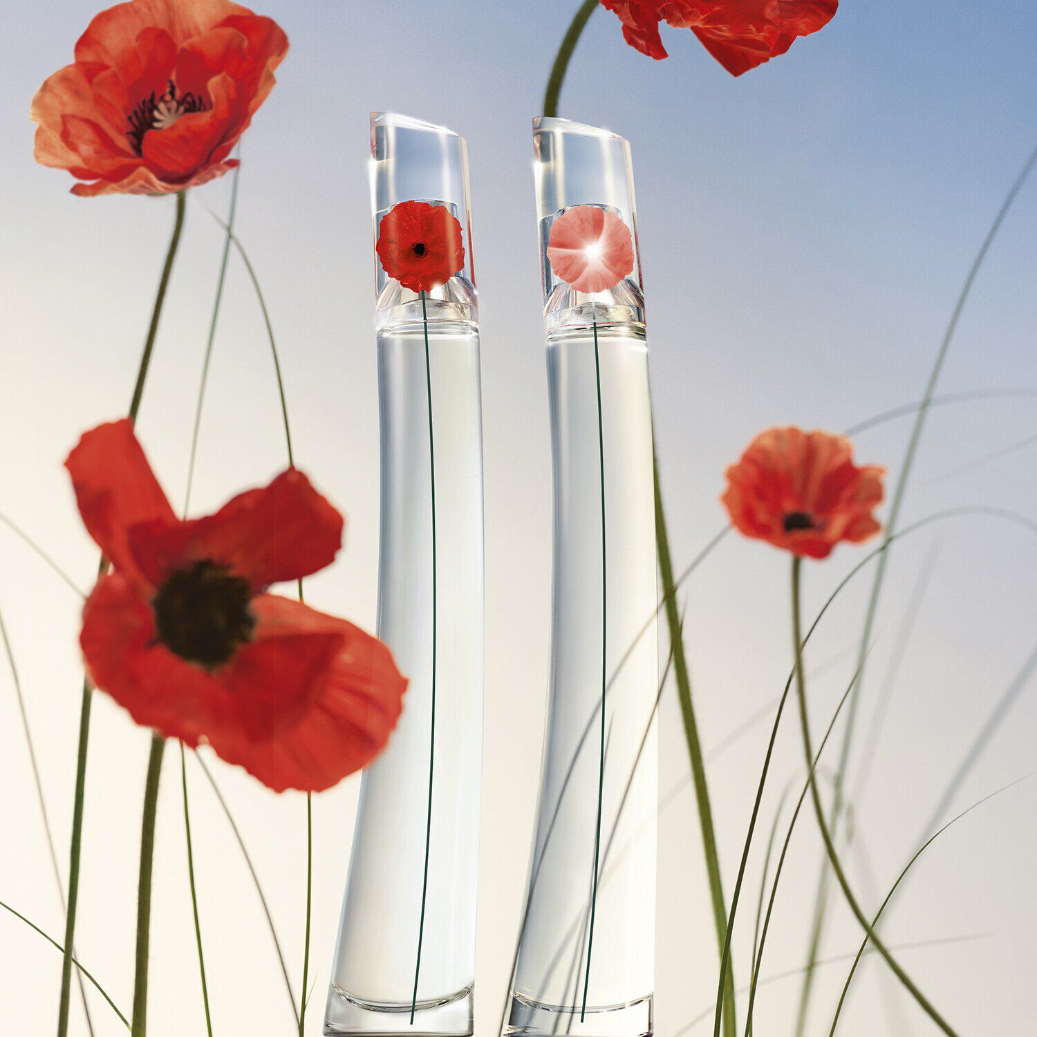FLOWER BY KENZO Eau de Toilette de KENZO SEPHORA