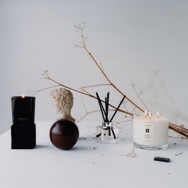 Wood Sage & Sea Salt - Diffuseur