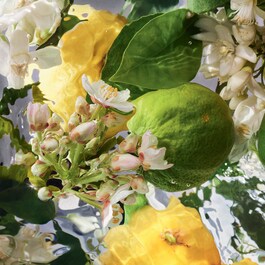 Aqua Allegoria - Bergamote Calabria - Eau De Toilette
