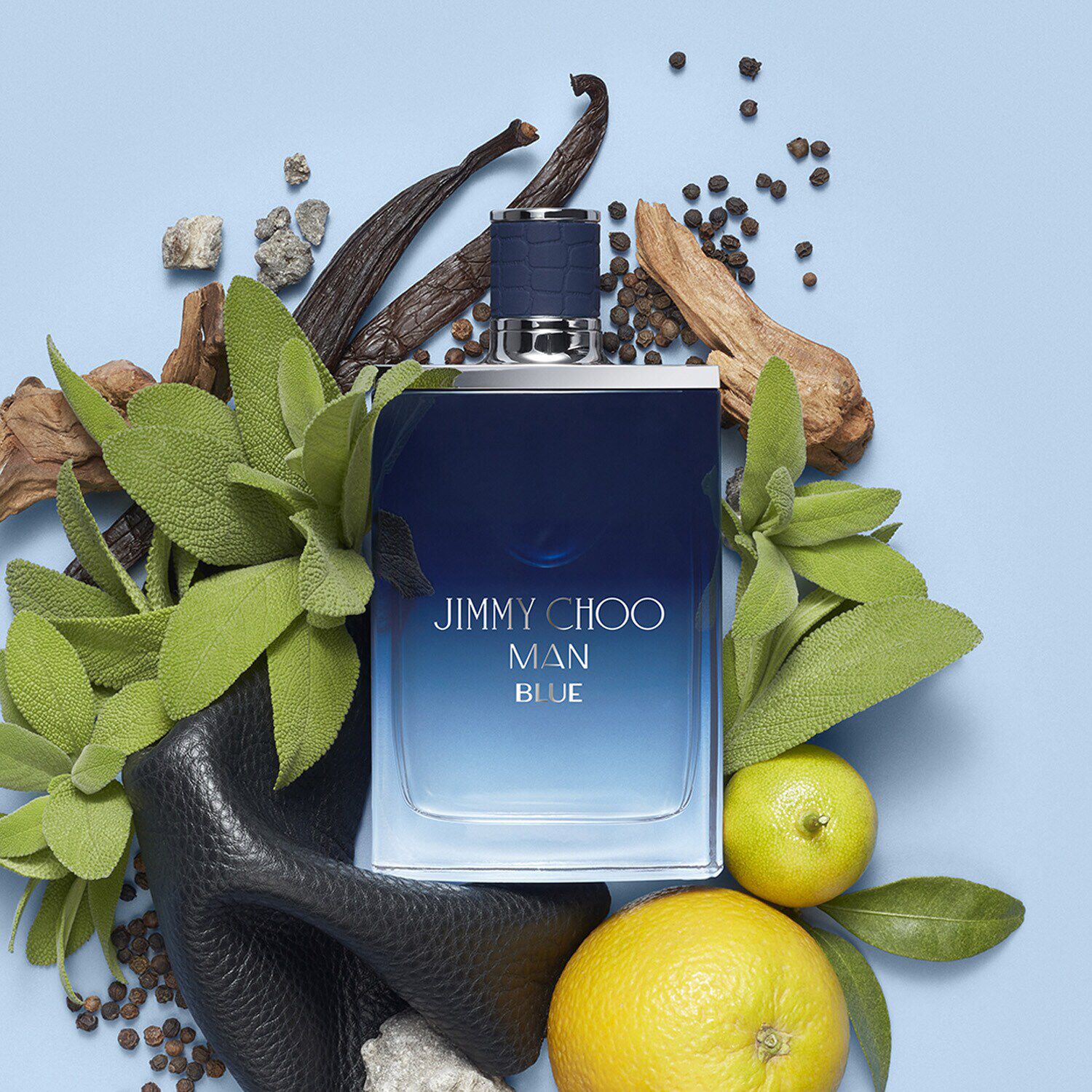 Jimmy choo new arrivals man sephora