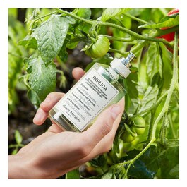 REPLICA From The Garden - Eau de Toilette Hespéridé Boisée