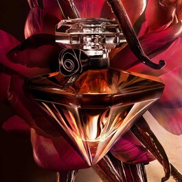 La Nuit Trésor Vanille Noire - Eau de Parfum 