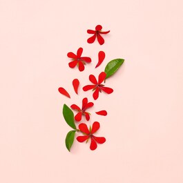 Gucci Bloom - Eau de Parfum Florale Poudrée