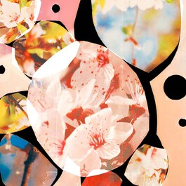Sakura Cherry Blossom - Brume Cheveux