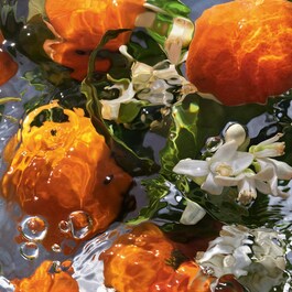 Aqua Allegoria - Mandarine Basilic - Eau De Toilette
