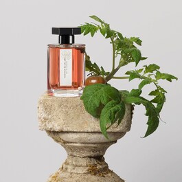Vetiver Ecarlate - Eau de Cologne