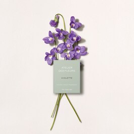Chloé Atelier des Fleurs Violette - Eau de Parfum