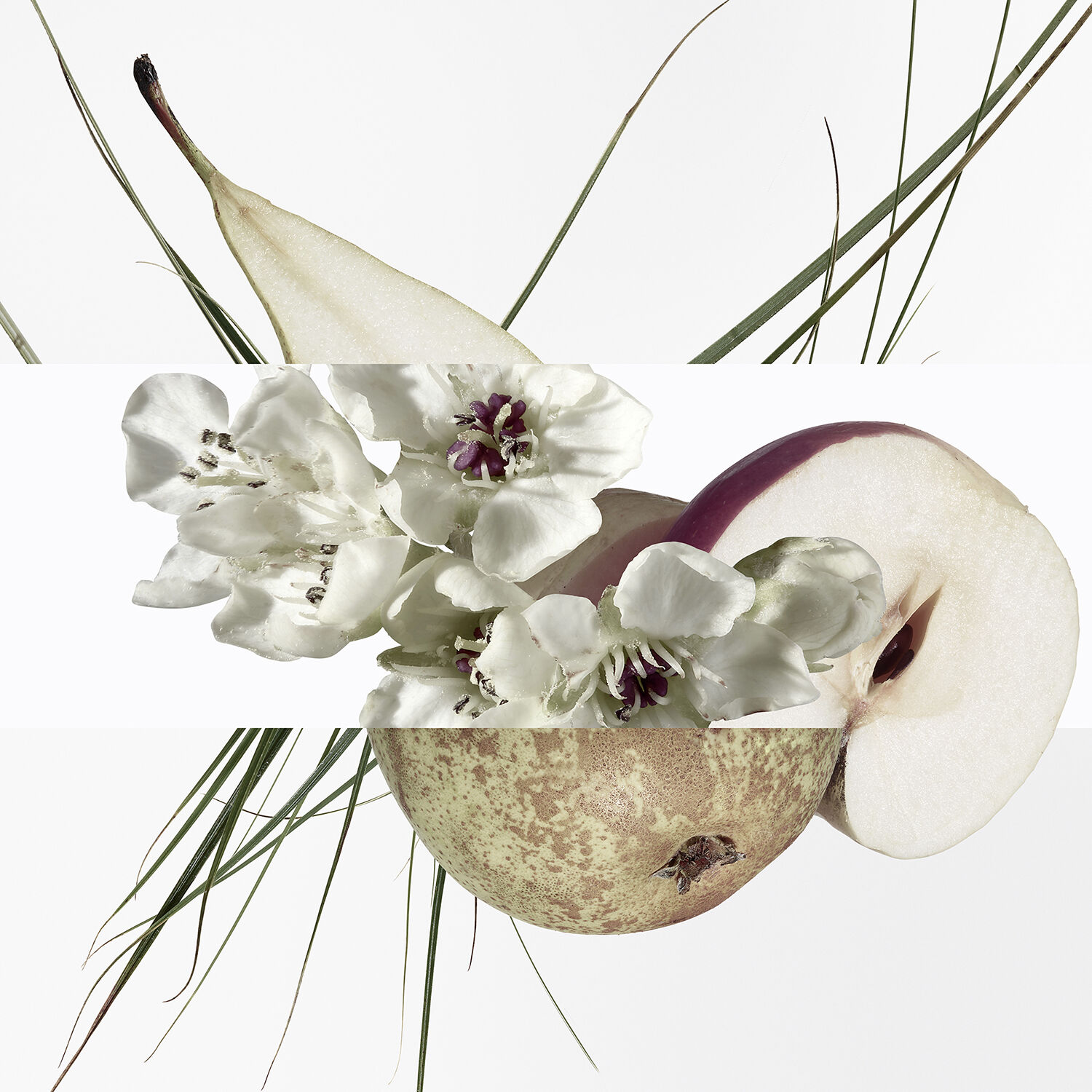 Un jardin sur online le toit meaning
