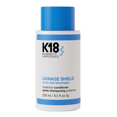 DAMAGE SHIELD Protective Conditioner - Protège Contre Les Dommages, K18