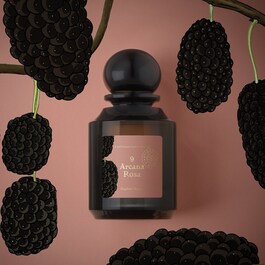 Arcana Rosa - Eau De Parfum