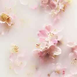The Ritual of Sakura - Baume mains
