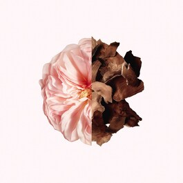 Irresistible Givenchy - Parfum pour cheveux