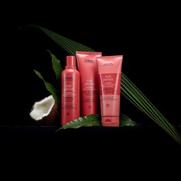 Nutriplenish™ - Shampoing Hydratant Cheveux Normaux A Epais