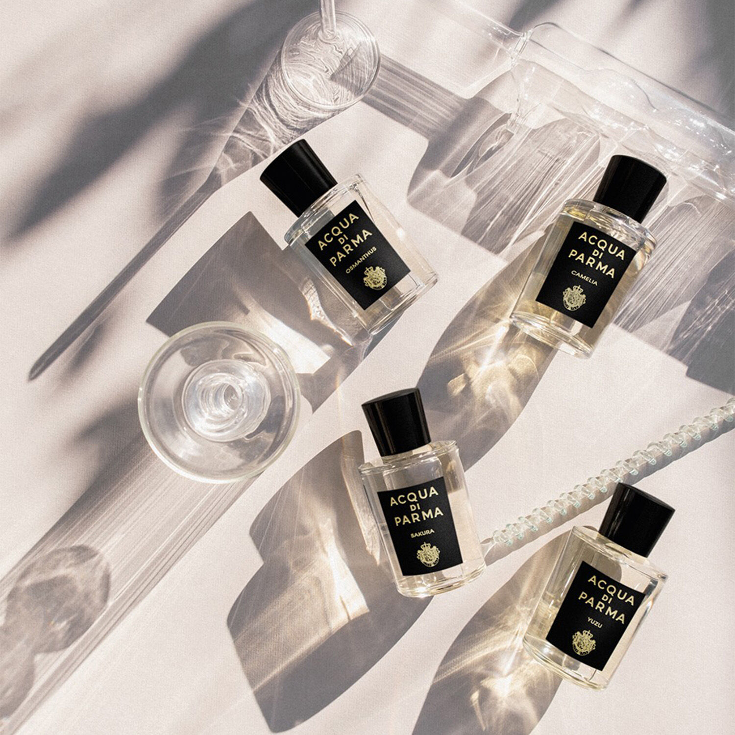販促アイディア 【月間優良ショップ受賞】 Acqua Di Parma Signatures Of The Sun Yuzu Eau de P  香水・フレグランス psikologi-metamorfosa.com