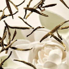 The Ritual of Karma - Coffret S Corps & Bain
