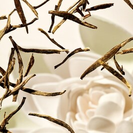 The Ritual of Karma - Brume Solaire Lactée SPF 50