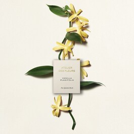 Atelier des Fleurs Vanilla Planifolia - Eau de Parfum