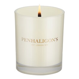 Ceylon Pekoe - Bougie