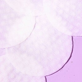 Ingrown Hair Pads - Disques compostables pour poils incarnés x60