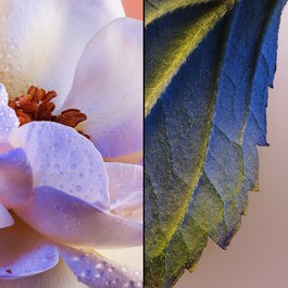 Idylle - Eau de Parfum
