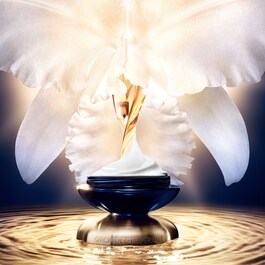 Orchidée Impériale - La Crème Riche - La Recharge