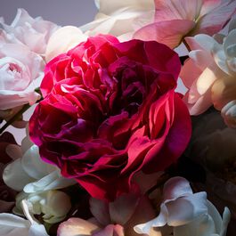 La Nuit Tr&eacute;sor - Fleur de Nuit - Eau de Parfum Florale