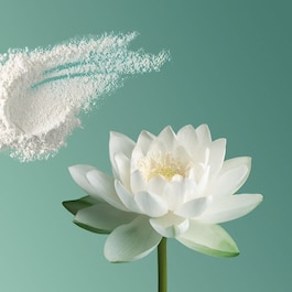 The Ritual of Karma - Deodorant Naturel