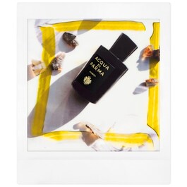 Signatures of the Sun Ambra - Eau de Parfum Boisé Aromatique