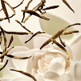 The Ritual of Karma - Recharge concentré gel lavant mains