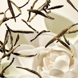 The Ritual of Karma - Masque pour le corps