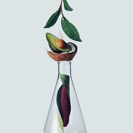 Botanical Repair™ - Shampooing Réparateur