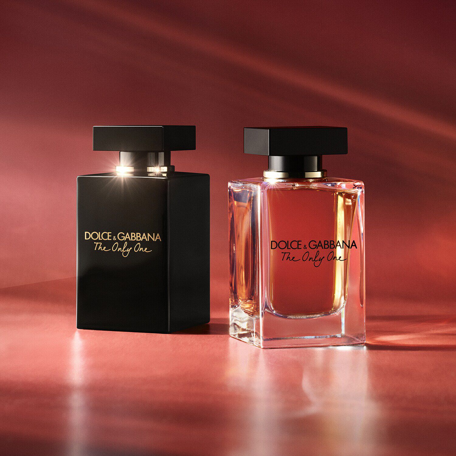 Dolce gabbana best sale only one sephora